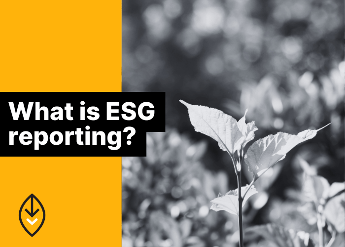 Fuse Fleet Blog - What is ESG reporting including an imager of a plant indicating the environment.