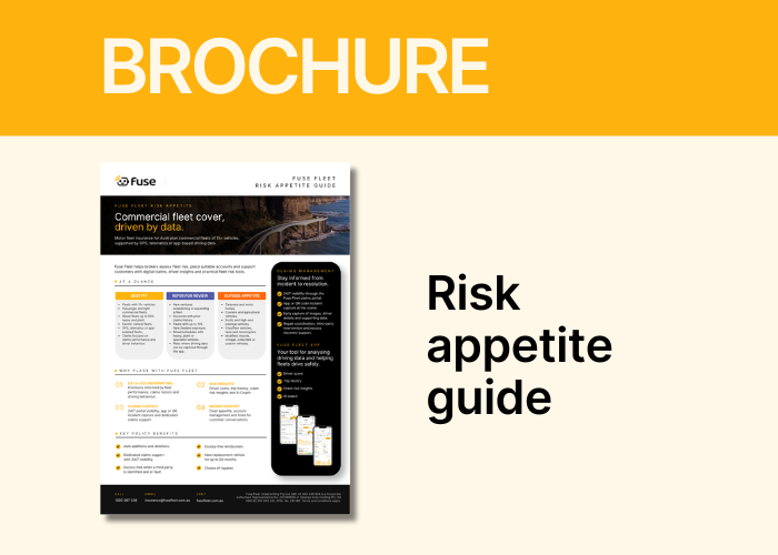 Title for Fuse Fleet Brochure - Risk appetite guide